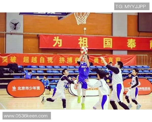 城市联赛特别报道：北京篮球队拼搏历程与辉煌成就的背后故事